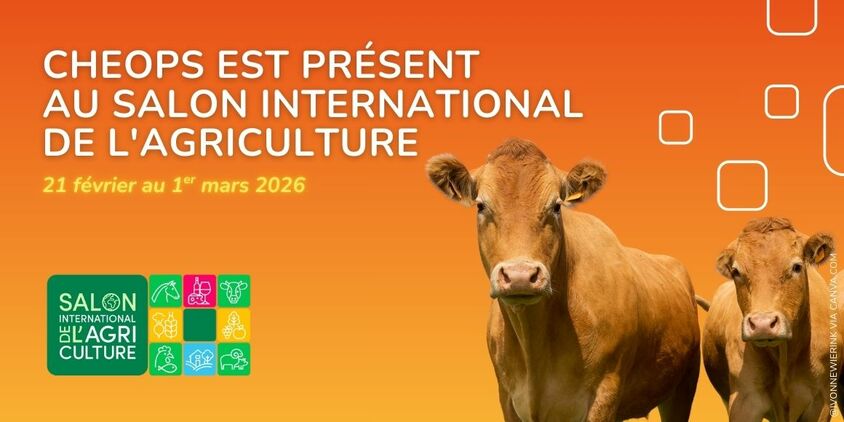 Du 21 février au 1er mars 2026