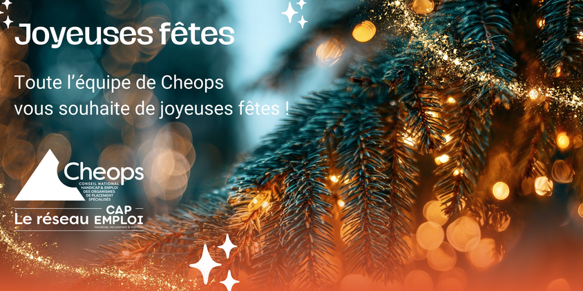 Toute l'équipe Cheops vous souhaite de joyeuses fêtes !